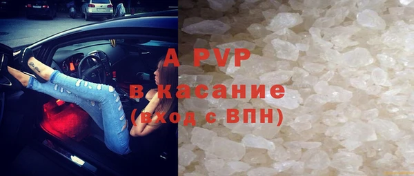 шишки Белоозёрский
