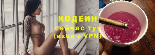 шишки Белоозёрский