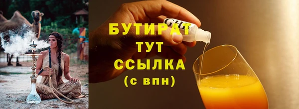 шишки Белоозёрский