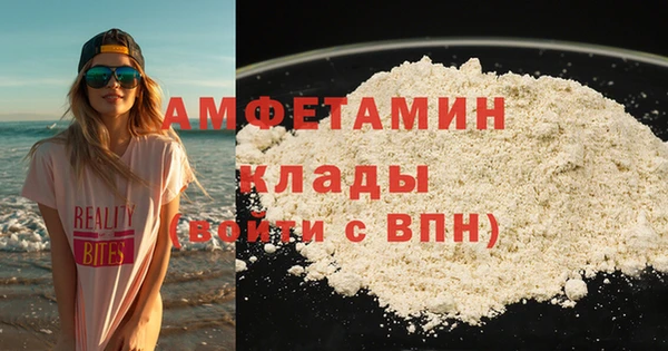 шишки Белоозёрский
