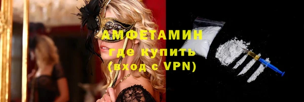 шишки Белоозёрский
