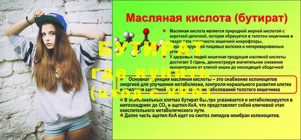 шишки Белоозёрский
