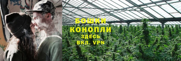 шишки Белоозёрский