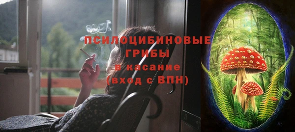 молекула духа Беломорск