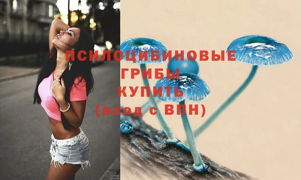 молекула духа Беломорск