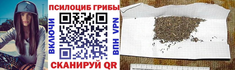Галлюциногенные грибы мицелий Бутурлиновка